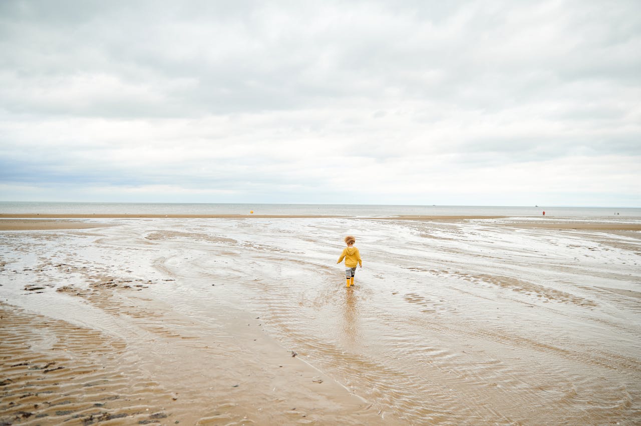 Marée basse en Vendée | Les Places Dorées